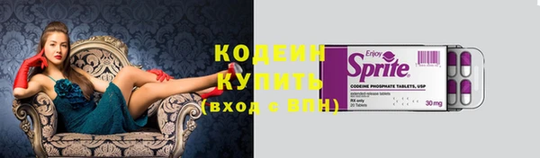 дживик Богородицк