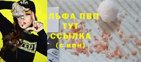 молекула духа Белоозёрский