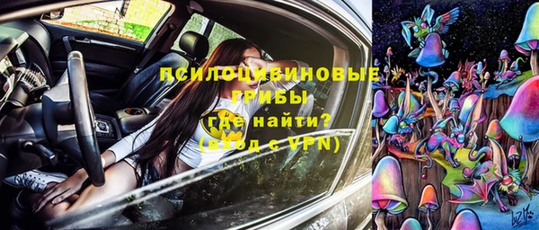 дживик Богородицк