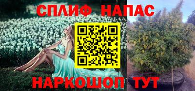 бошки Беслан