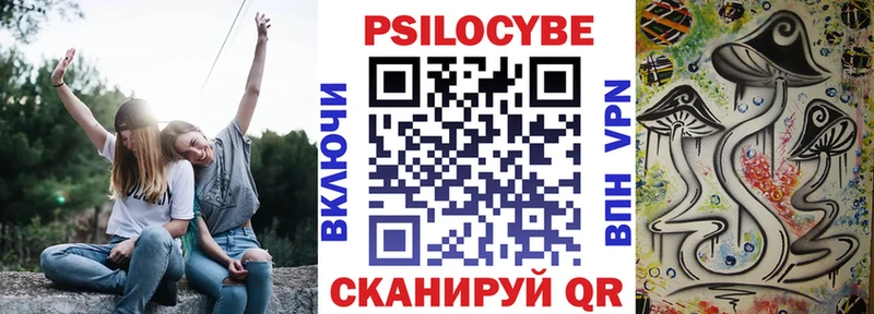 Галлюциногенные грибы Cubensis  Бор 