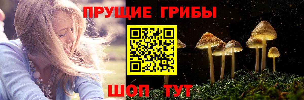 Бор  Псилоцибиновые грибы Magic Shrooms  Вход с VPN 