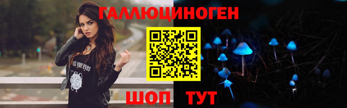 Галлюциногенные грибы прущие грибы  Бор  Галлюциногенные грибы Cubensis 